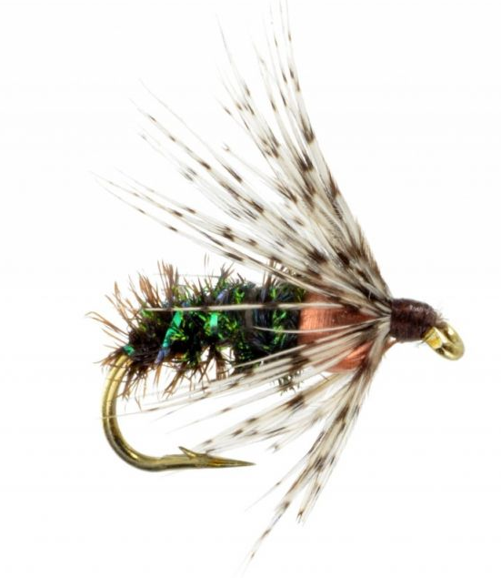 Soft Hackle Peacock BH - Click Image to Close